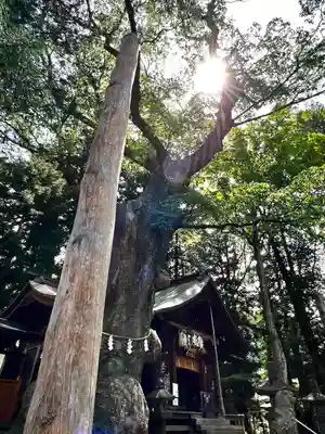 先宮神社(長野県)