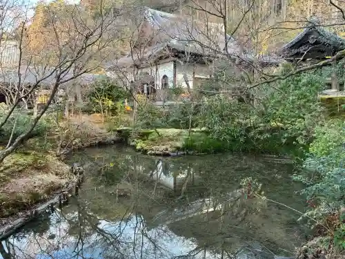 圓光寺の{uncategorized: "未分類", other: "その他", undefined: "問題あり", building: "その他建物", grave: "お墓", sacred_gate: "鳥居", guardian: "狛犬", statue: "像", buddha: "仏像", history: "歴史", nature: "自然", garden: "庭園", animal: "動物", pagoda: "塔", temizu: "手水舎", mountain_gate: "山門・神門", sanctuary: "本殿・本堂", subordinate: "末社・摂社", art: "芸術", scenery: "景色", jizo: "地蔵", ema: "絵馬", goshuin: "御朱印", omikuji: "おみくじ", items: "授与品その他", amulet: "お守り", goshuincho: "御朱印帳", eats: "食事", festival: "お祭り", votive_dance: "神楽", shichigosan: "七五三参", wedding: "結婚式", experience: "体験その他", initially: "初詣", around: "周辺", anti_infection: "感染症対策"}