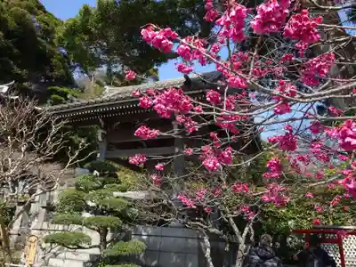 長谷寺(神奈川県)