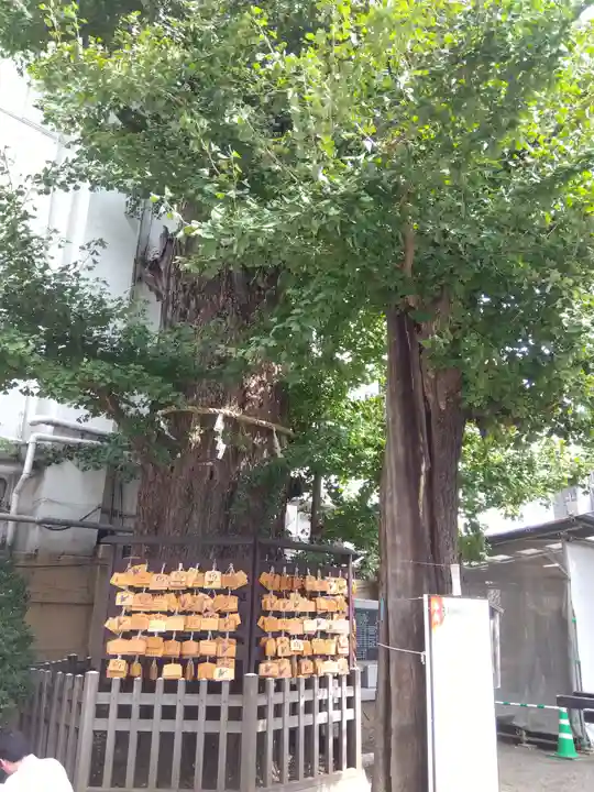 天祖神社(東京都)