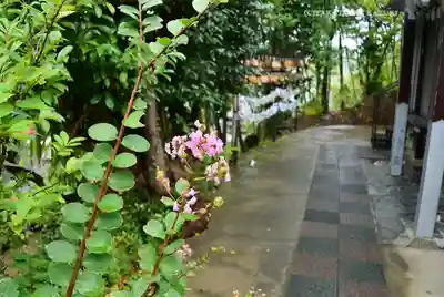 横浜御嶽神社(神奈川県)