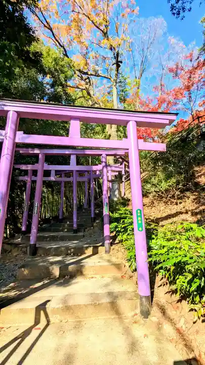 足利織姫神社の鳥居