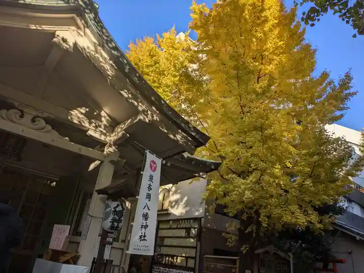 銀杏岡八幡神社(東京都)