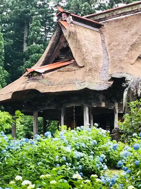 幸徳院笹野寺の自然