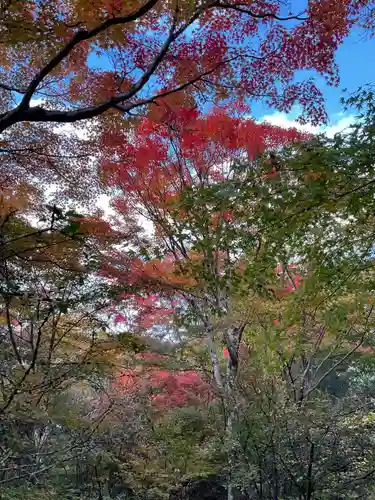 宝筐院(京都府)