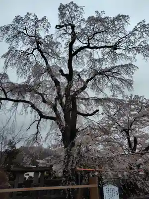 妙徳寺(福島県)
