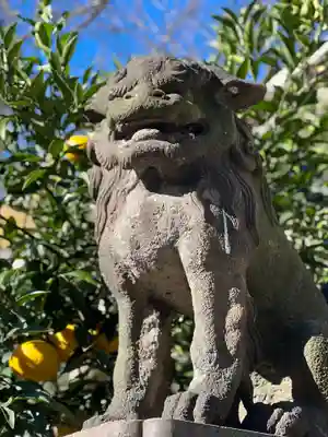 若宮八幡宮 の狛犬