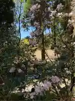 白川吉見神社(熊本県)