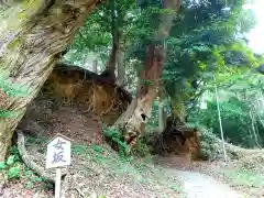 曽許乃御立神社の建物その他