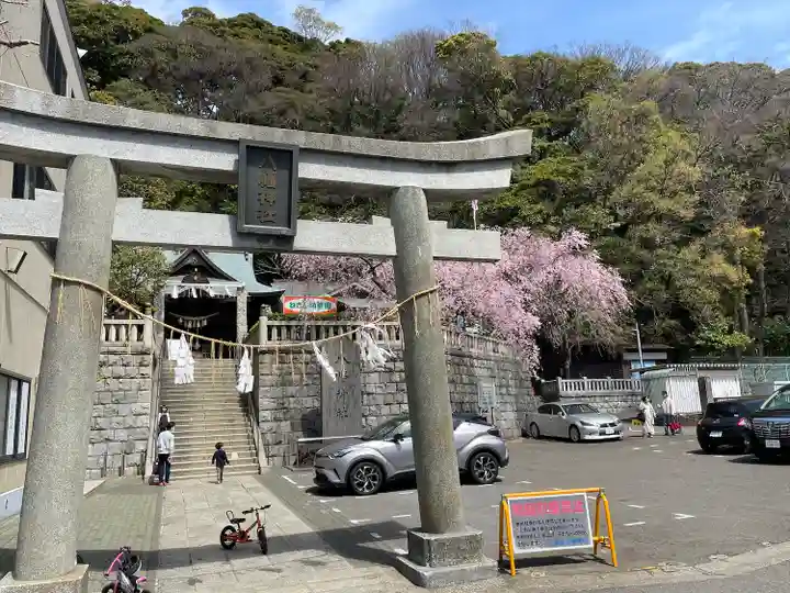 根岸八幡神社の鳥居