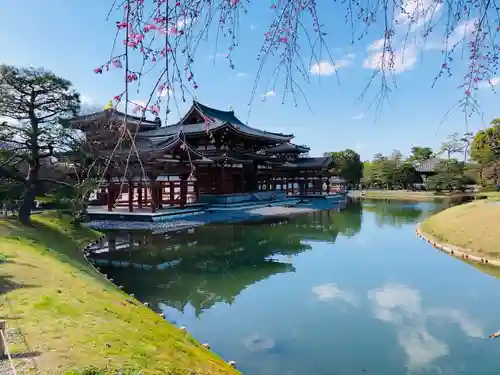 平等院の庭園