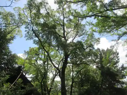 意富比神社の自然
