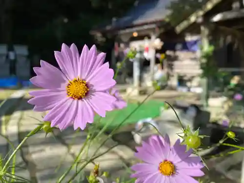 高祖神社の自然