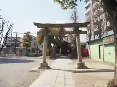 矢口氷川神社の鳥居