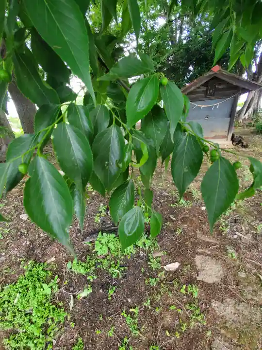日枝神社(栃木県)