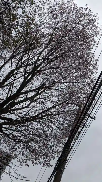 共栄稲荷神社の自然