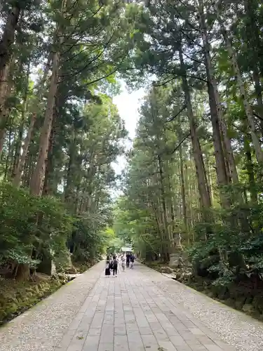 彌彦神社(新潟県)