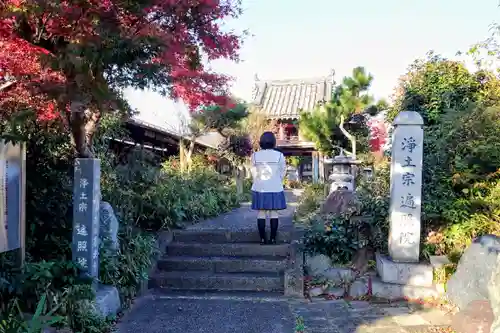 道智山 遍照院の山門・神門