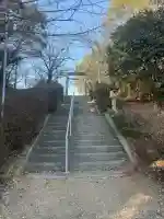 天伯山神社の{uncategorized: "未分類", other: "その他", undefined: "問題あり", building: "その他建物", grave: "お墓", sacred_gate: "鳥居", guardian: "狛犬", statue: "像", buddha: "仏像", history: "歴史", nature: "自然", garden: "庭園", animal: "動物", pagoda: "塔", temizu: "手水舎", mountain_gate: "山門・神門", sanctuary: "本殿・本堂", subordinate: "末社・摂社", art: "芸術", scenery: "景色", jizo: "地蔵", ema: "絵馬", goshuin: "御朱印", omikuji: "おみくじ", items: "授与品その他", amulet: "お守り", goshuincho: "御朱印帳", eats: "食事", festival: "お祭り", votive_dance: "神楽", shichigosan: "七五三参", wedding: "結婚式", experience: "体験その他", initially: "初詣", around: "周辺", anti_infection: "感染症対策"}