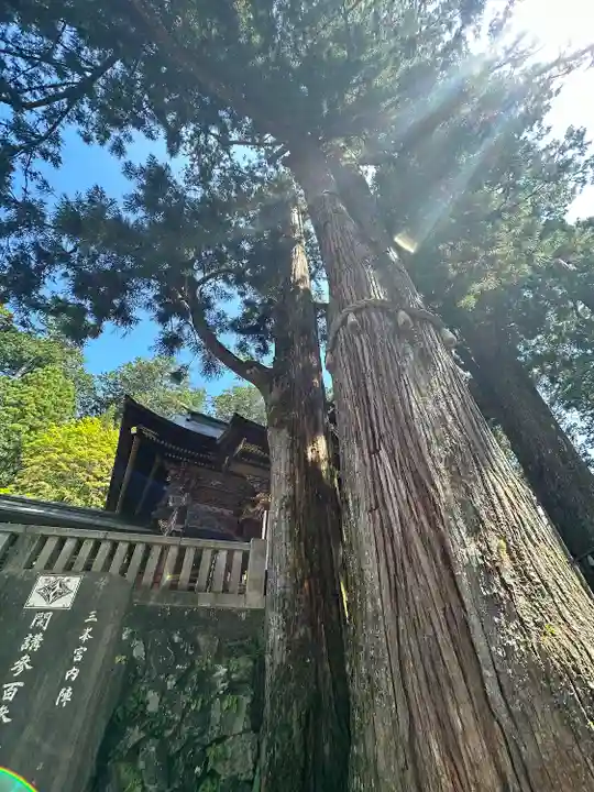 三峯神社(埼玉県)
