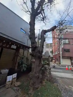 宗慶寺(東京都)