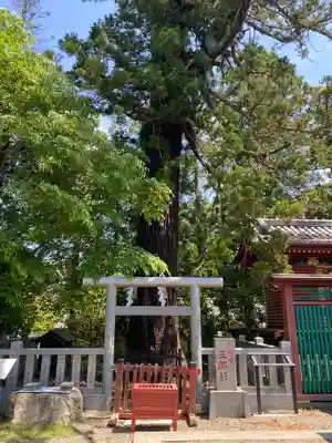 大杉神社のその他建物