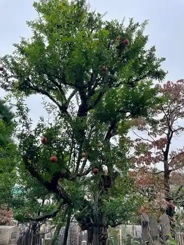 長安寺(東京都)