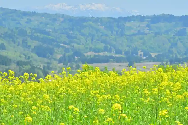沢山神社(澤山神社)(新潟県)