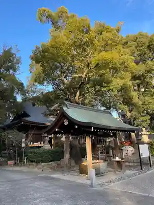 若宮八幡社(愛知県)