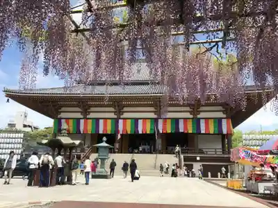 西新井大師総持寺の本殿・本堂