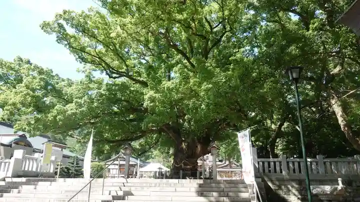 大麻比古神社(徳島県)