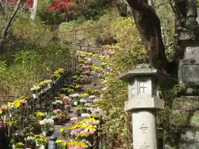 長谷寺(奈良県)