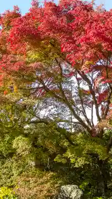 天得院(京都府)