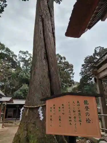 豊受大神社(京都府)