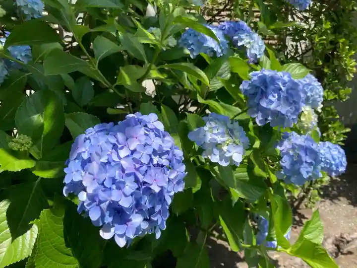 片瀬諏訪神社(神奈川県)
