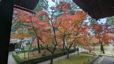 真正極楽寺(真如堂)(京都府)