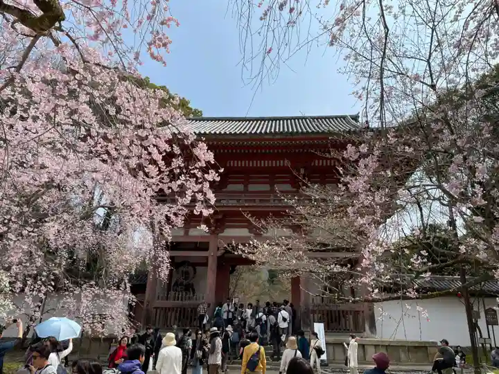 醍醐寺(京都府)