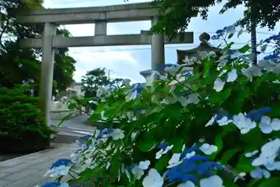 龍口明神社(神奈川県)