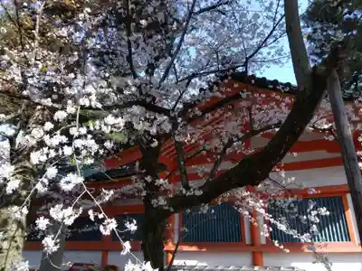 平安神宮(京都府)