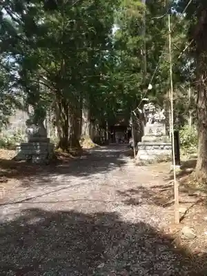戸隠神社奥社の狛犬