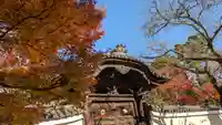 妙顯寺(妙顕寺)(京都府)