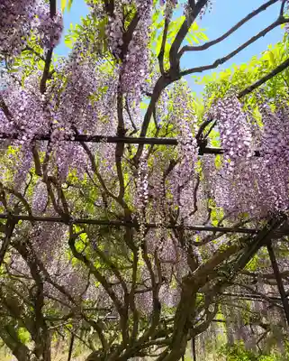 天台宗 五大山 白毫寺(兵庫県)