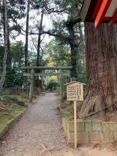 鹿島神宮の鳥居