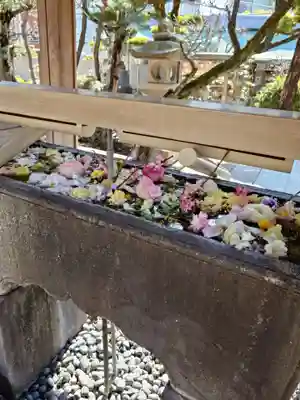 鳩森八幡神社(東京都)