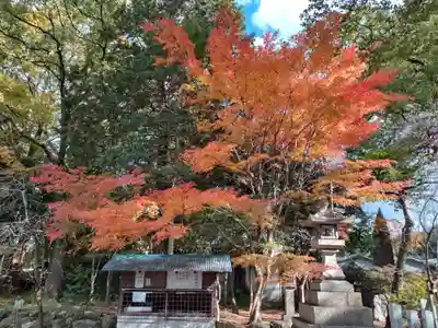 富部神社(愛知県)