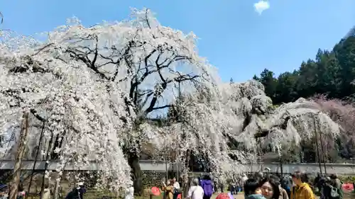 清雲寺(埼玉県)
