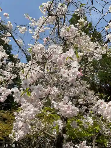 八事山 興正寺(愛知県)