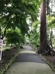 八幡宮(茨城県)