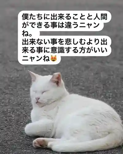 専念寺(大阪府)