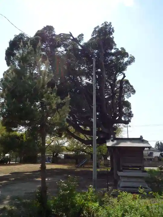 白山神社(千葉県)